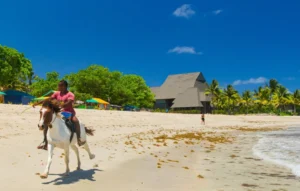Natadola Beach Horse Riding Tour – AU$139 ( 90 Minute Ride )