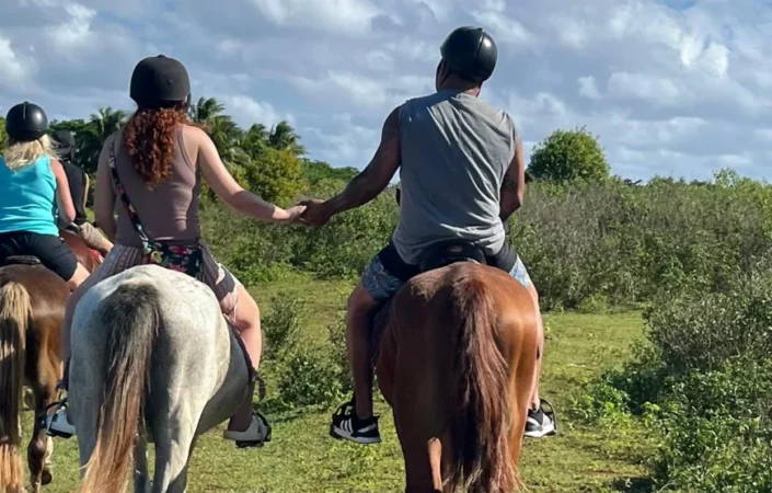 Horse Riding