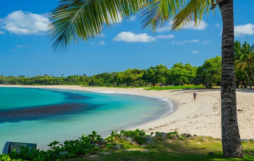 Natadola Beach Tour Fiji